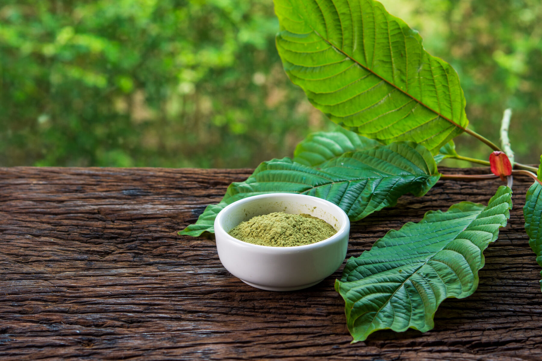 Red Malay Kratom for Meditation and Mindfulness Practices