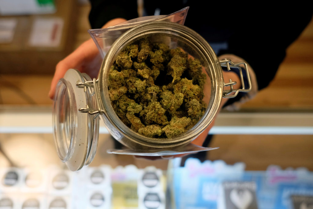 Elevate Your Senses: Delving into HHC Flower’s Botanical Bounty