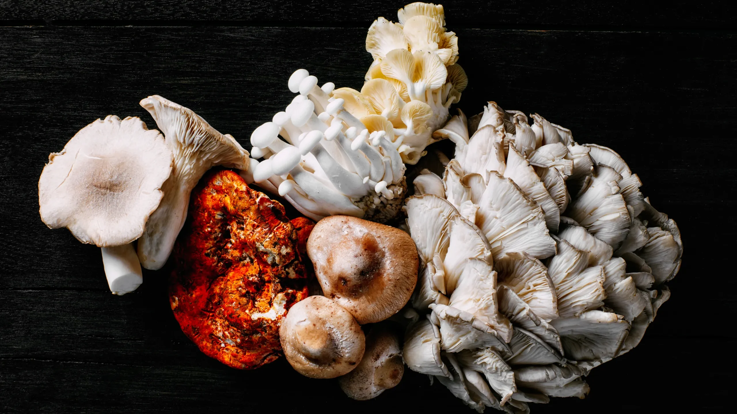 What are Mushroom Gummies and how might they help your health?