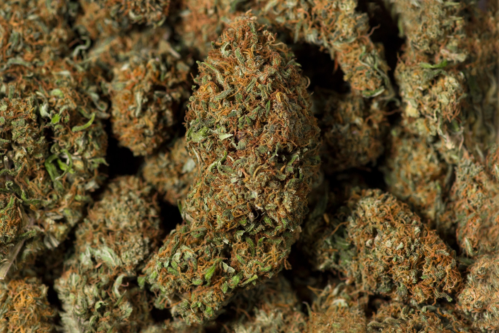 Comparing THCA Flower to Cannabis Oil: Knowing the Main Variables