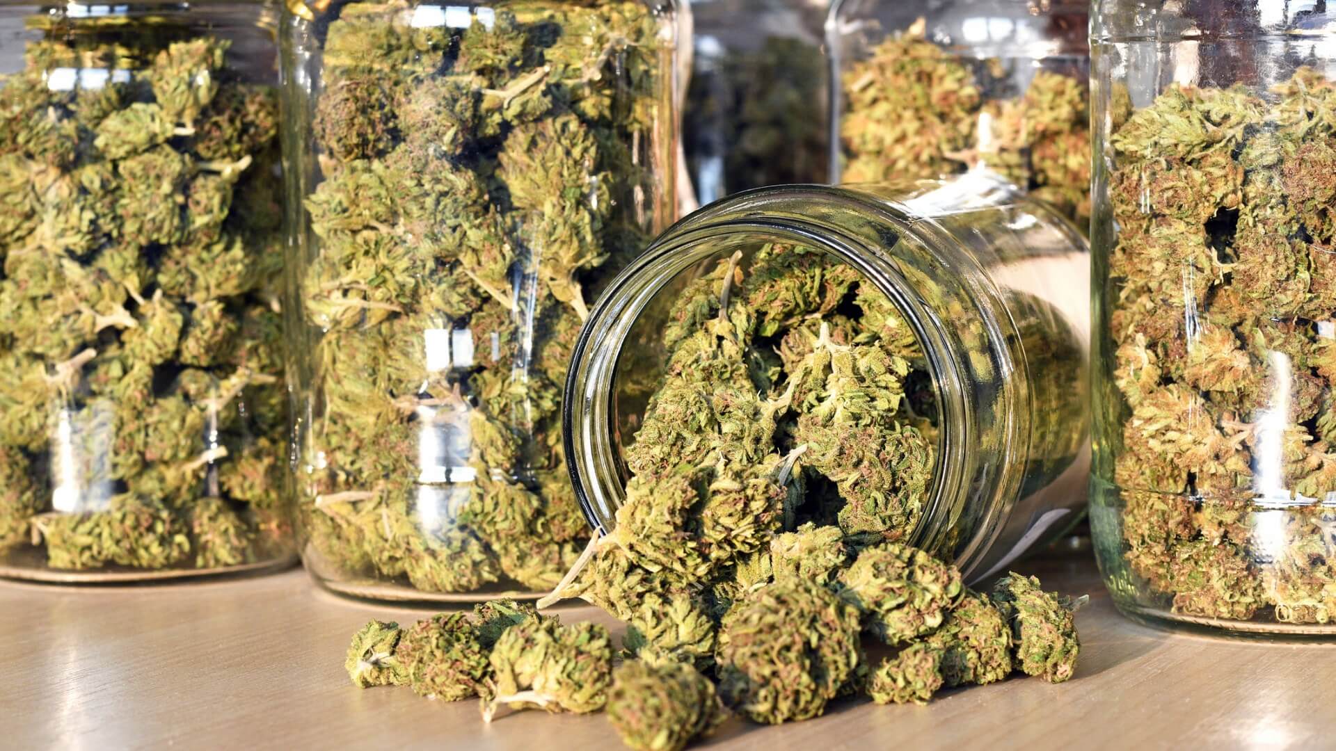 Delta 8 Flower Odor: Exploring Its Strength