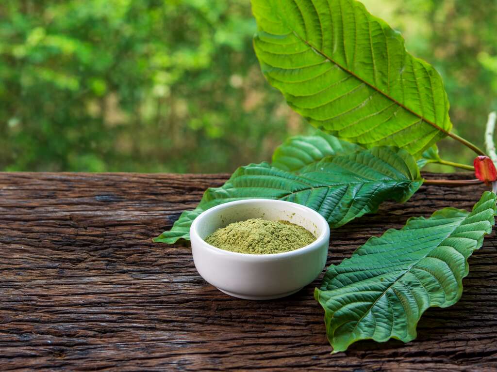 Preventing Dehydration While Taking Advantage of Kratom