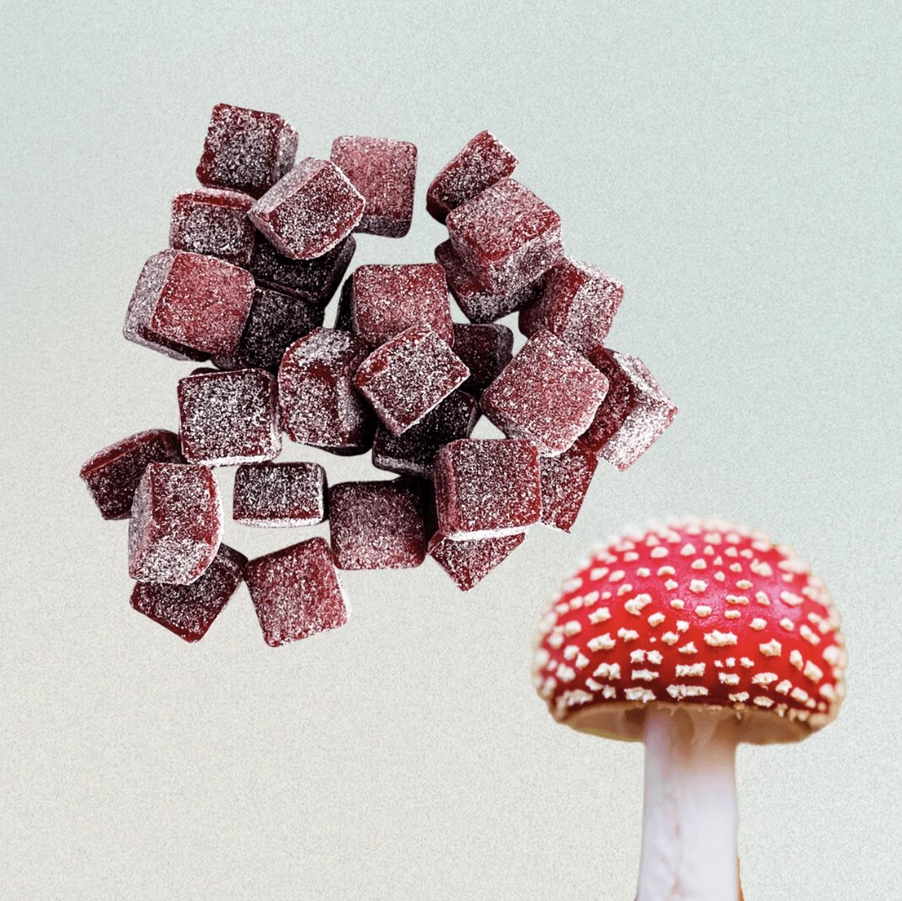 magic mushrooms effects