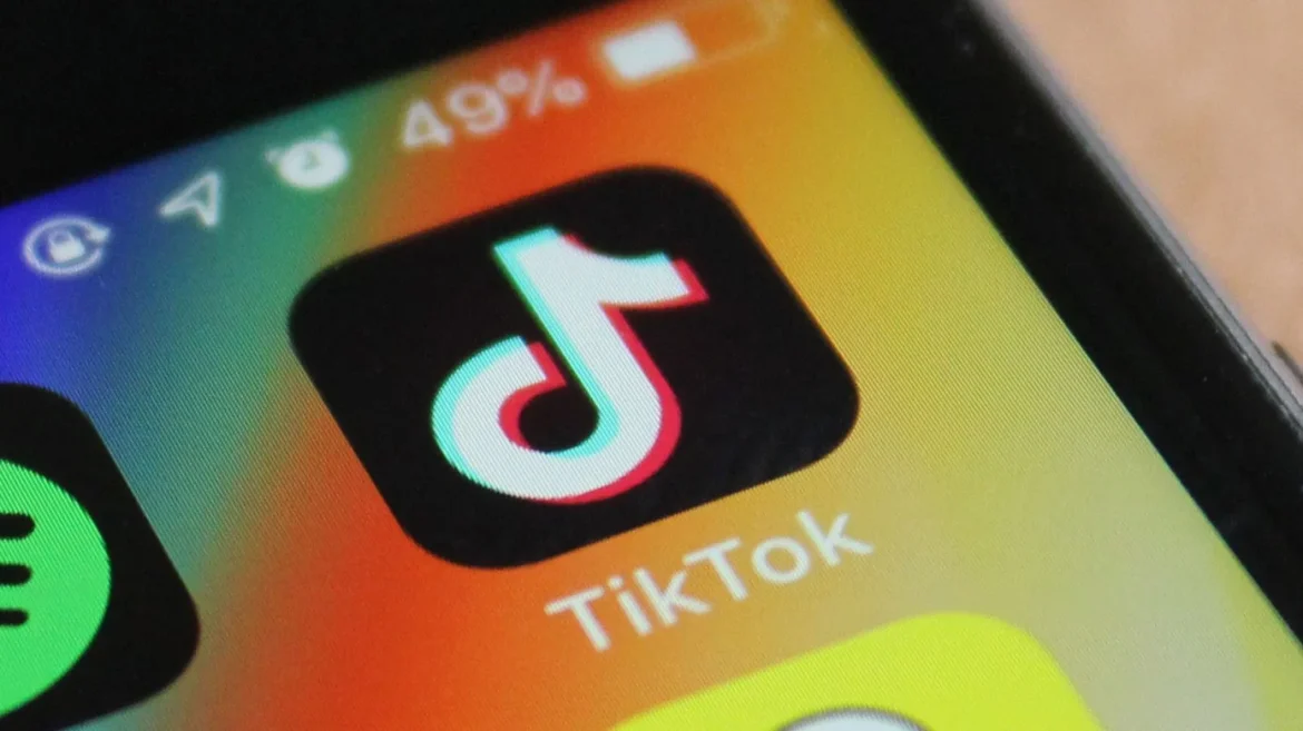 User Friendly TikTok Download Services Supporting High Quality Video Access